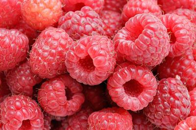 Rubus idaeus × strig
